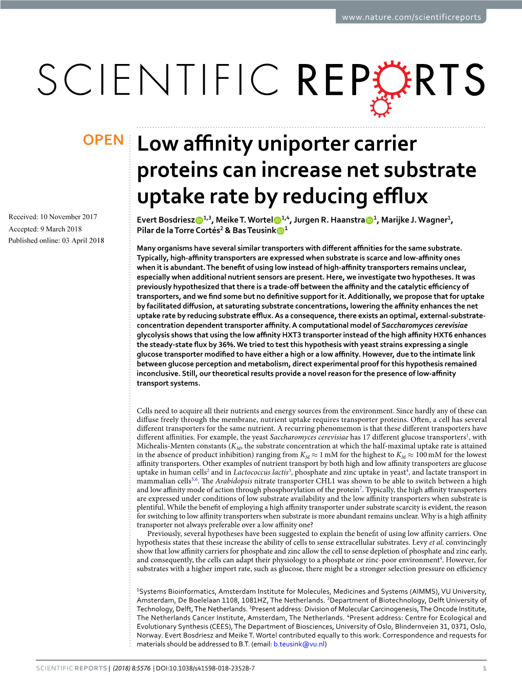 Low Affinity Uniporter Carrier Proteins Can Increase Net Substrate Uptake