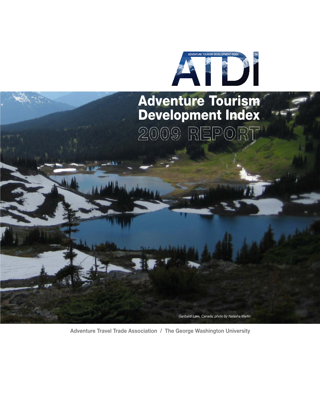 2009 ATDI Report