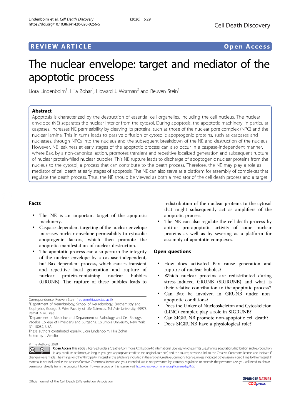The Nuclear Envelope: Target and Mediator of the Apoptotic Process Liora Lindenboim1, Hila Zohar1,Howardj.Worman2 and Reuven Stein1