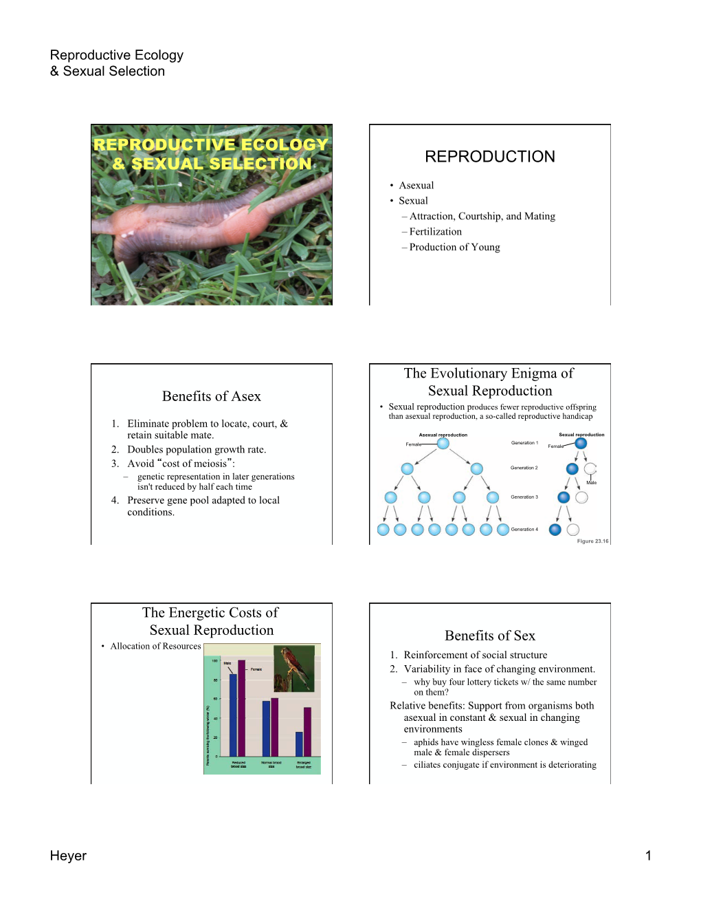 Reproductive Ecology & Sexual Selection