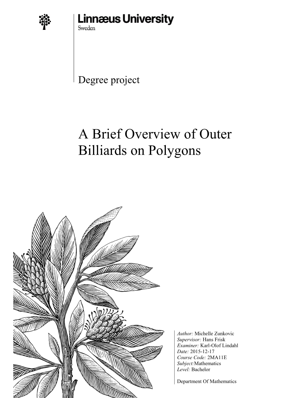 A Brief Overview of Outer Billiards on Polygons