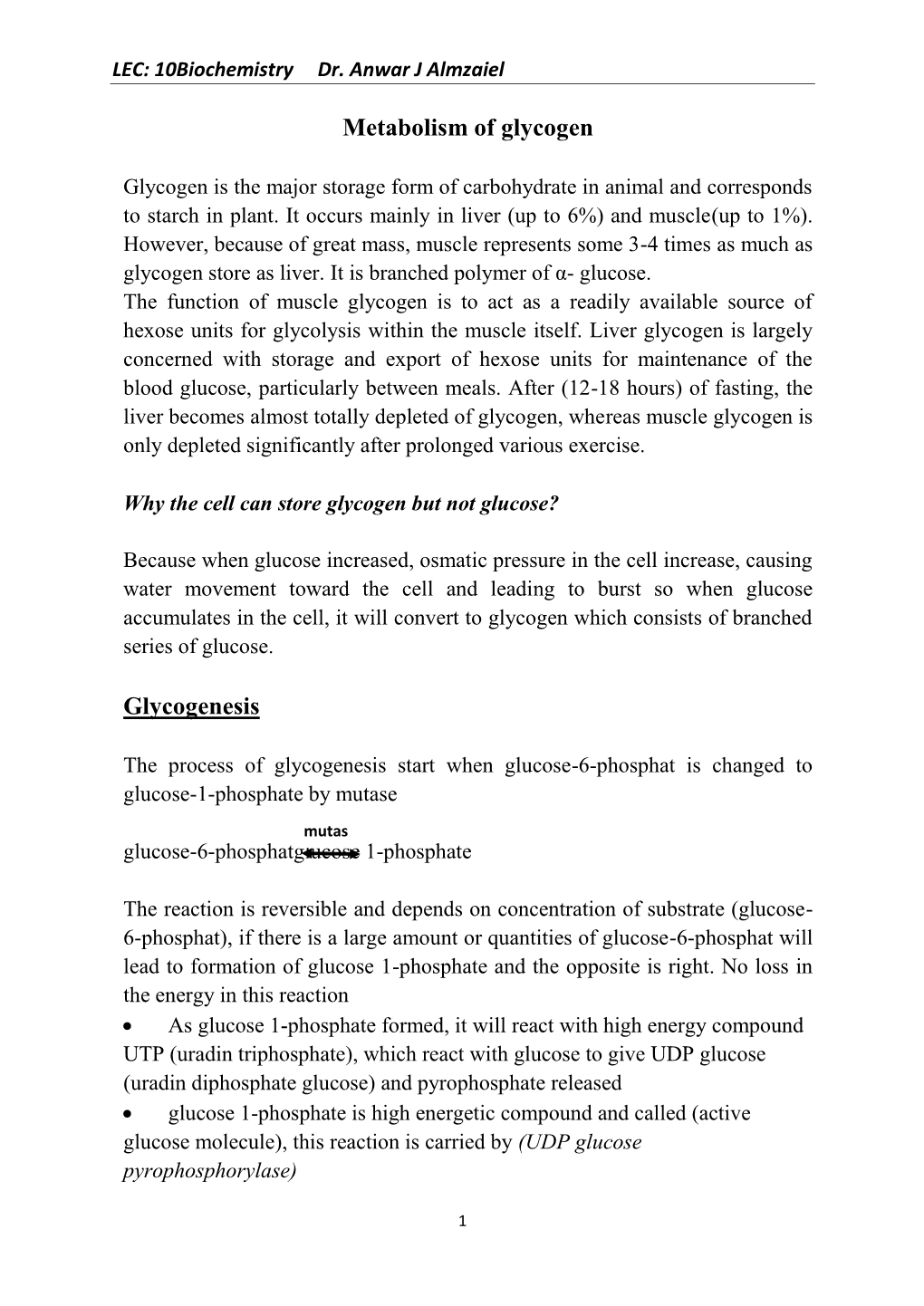 Metabolism of Glycogen Glycogenesis