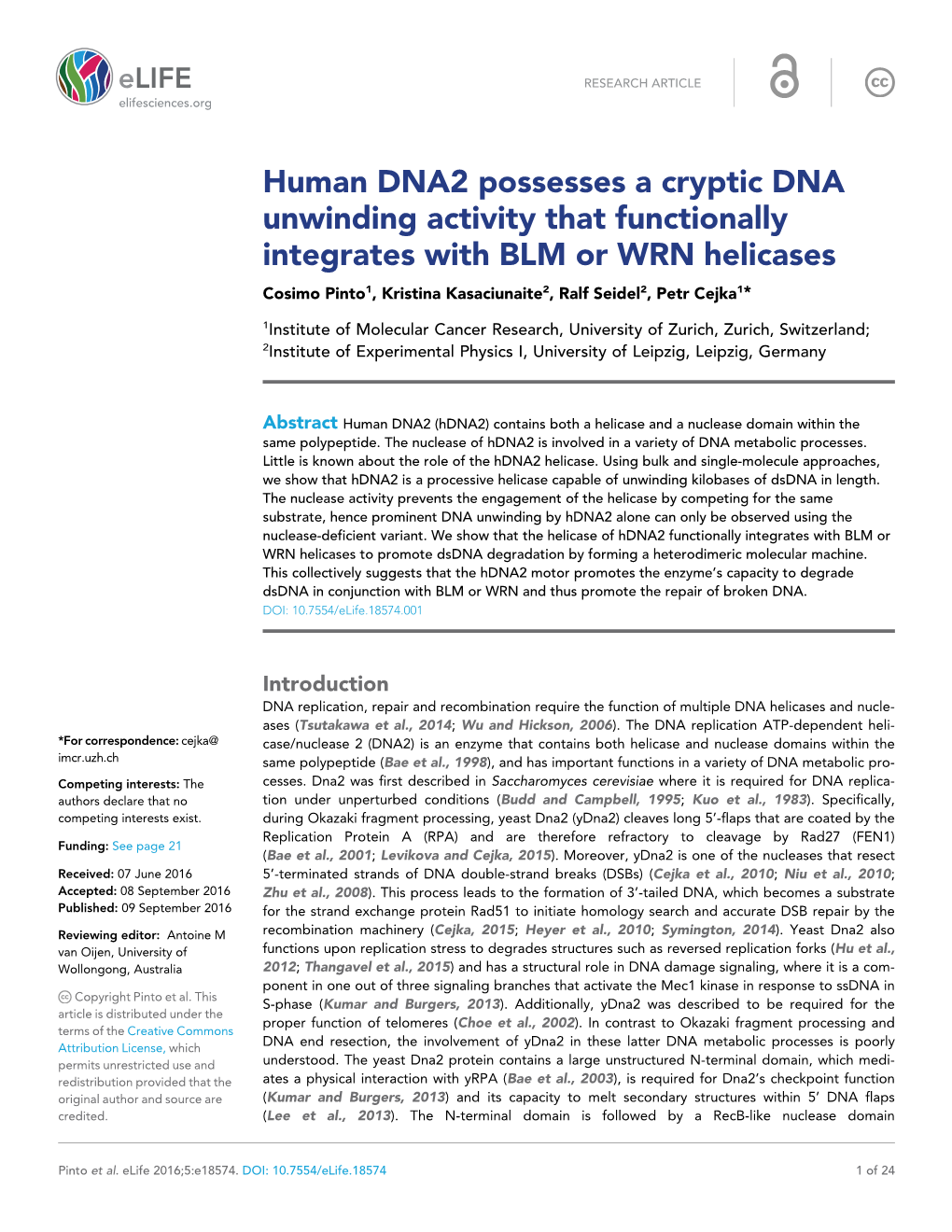 Human DNA2 Possesses a Cryptic DNA Unwinding Activity That