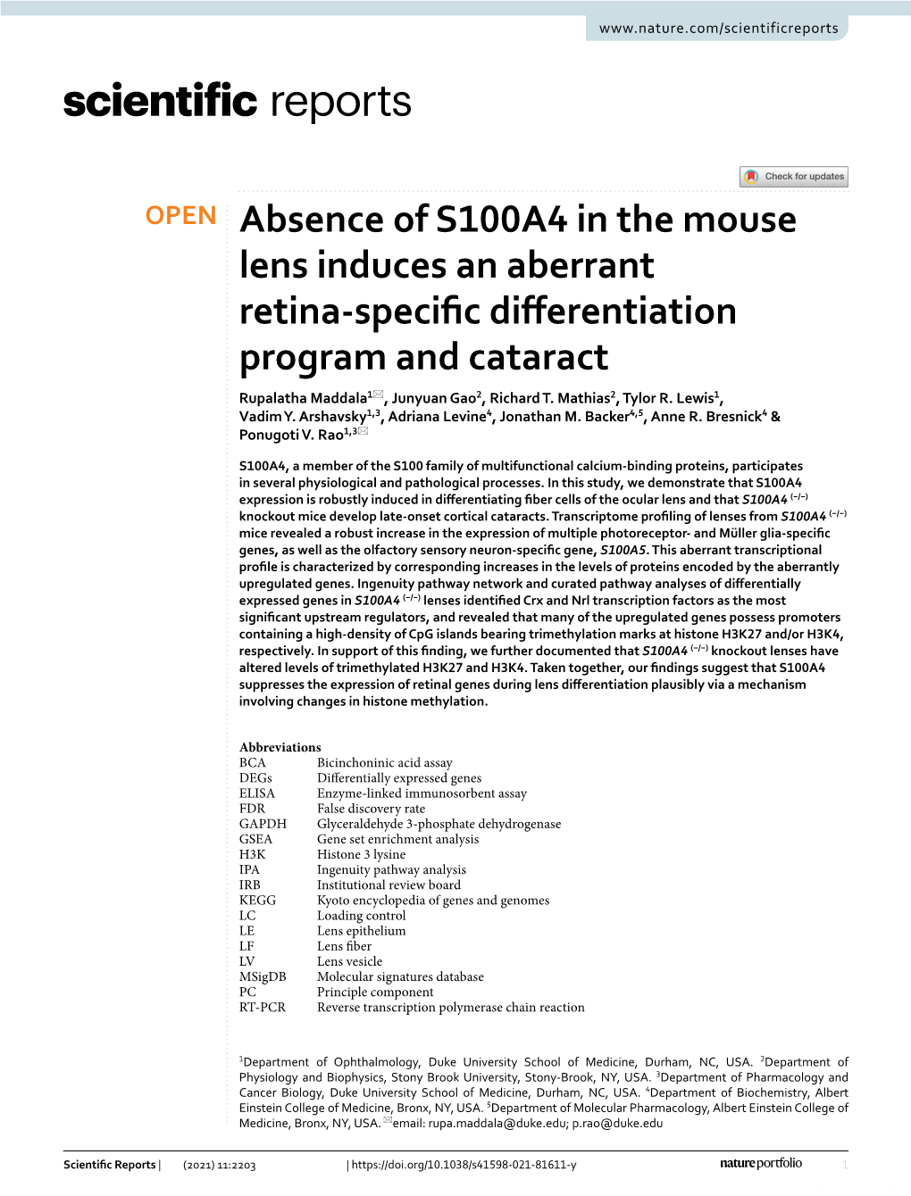 Absence of S100A4 in the Mouse Lens Induces an Aberrant Retina-Specific Differentiation Program and Cataract