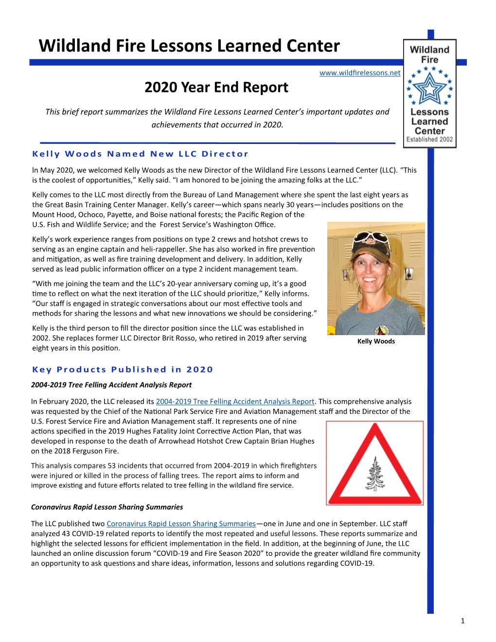 2020 Year End Report