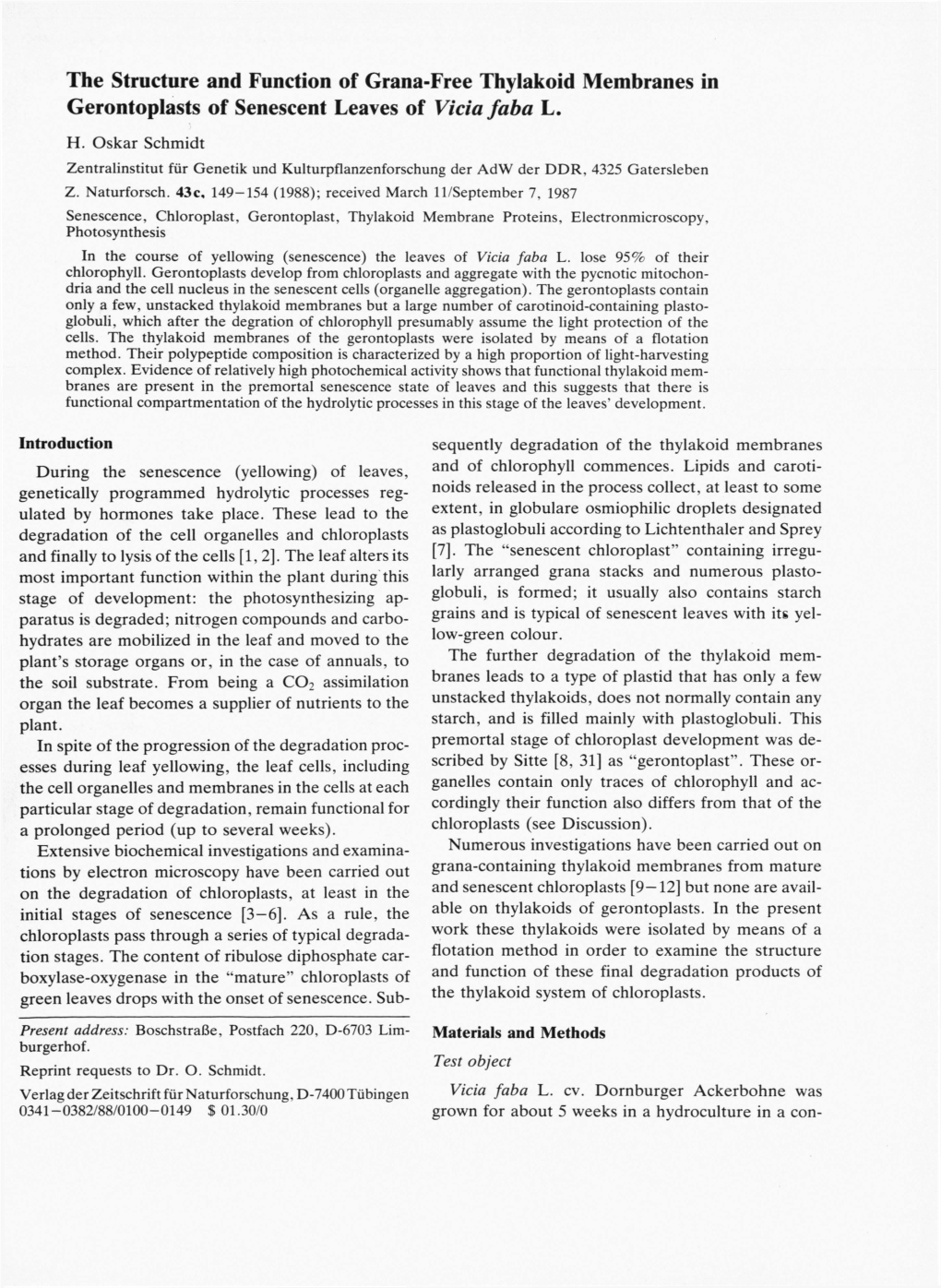 The Structure and Function of Grana-Free Thylakoid Membranes in Gerontoplasts of Senescent Leaves of Vicia Faba L