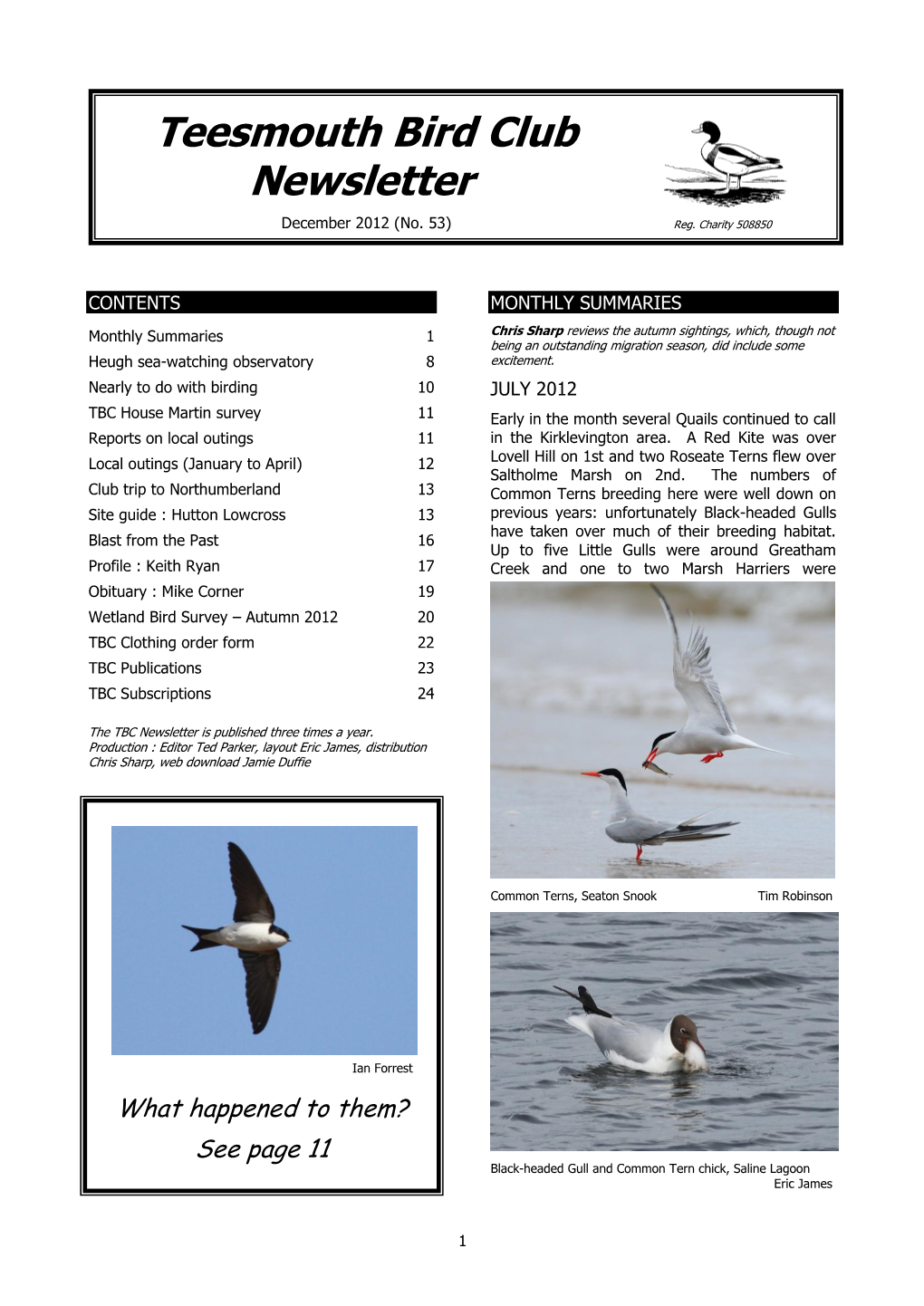 Teesmouth Bird Club Newsletter