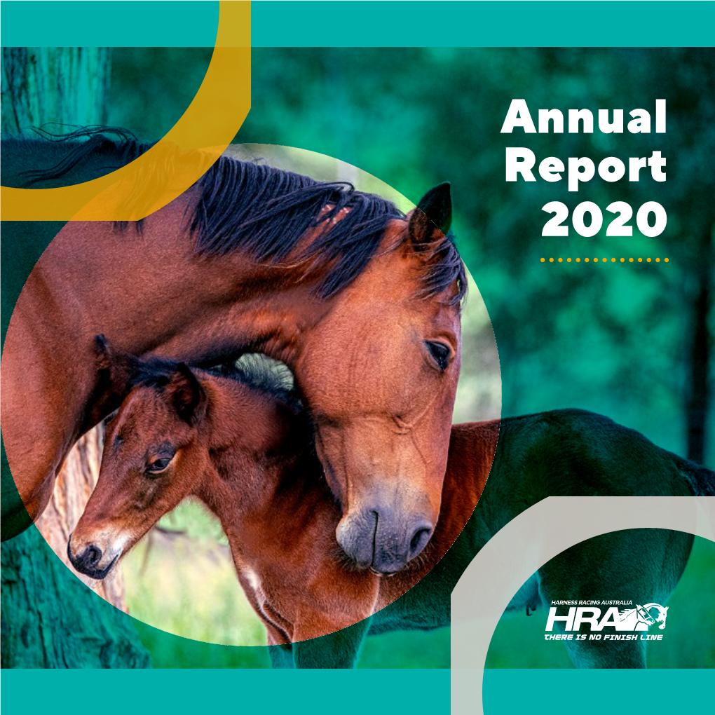 HRA Annual Report 2020
