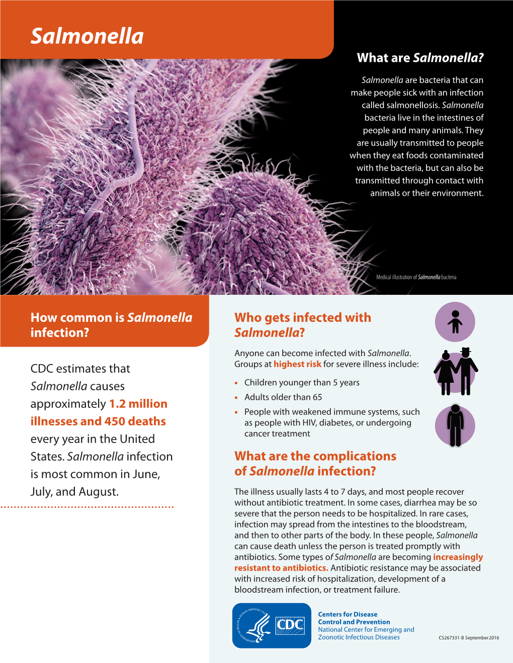 Salmonella What Are Salmonella?