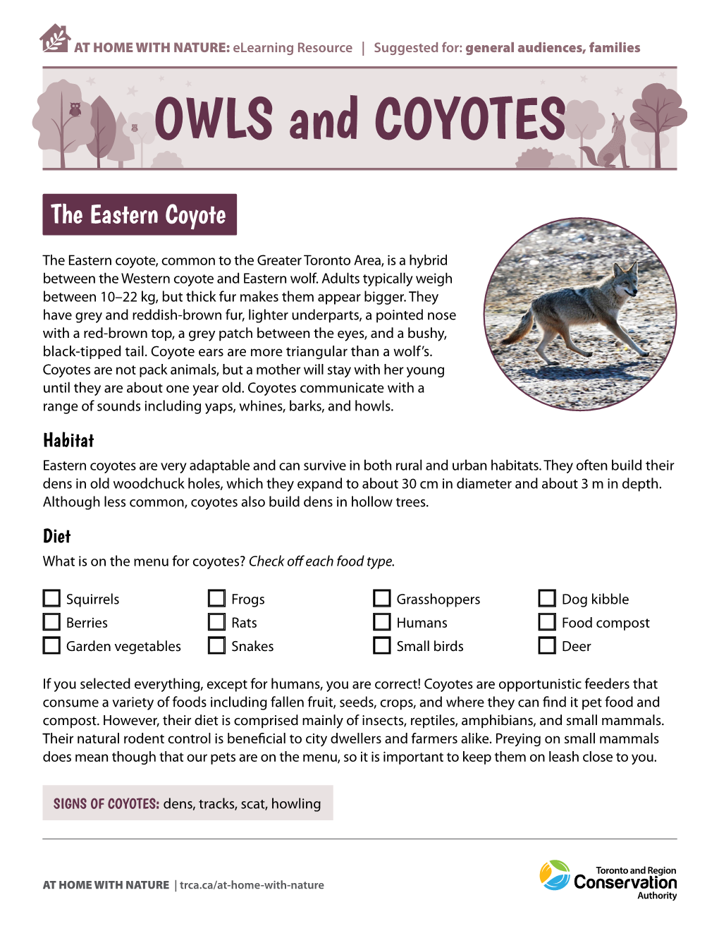 OWLS and COYOTES