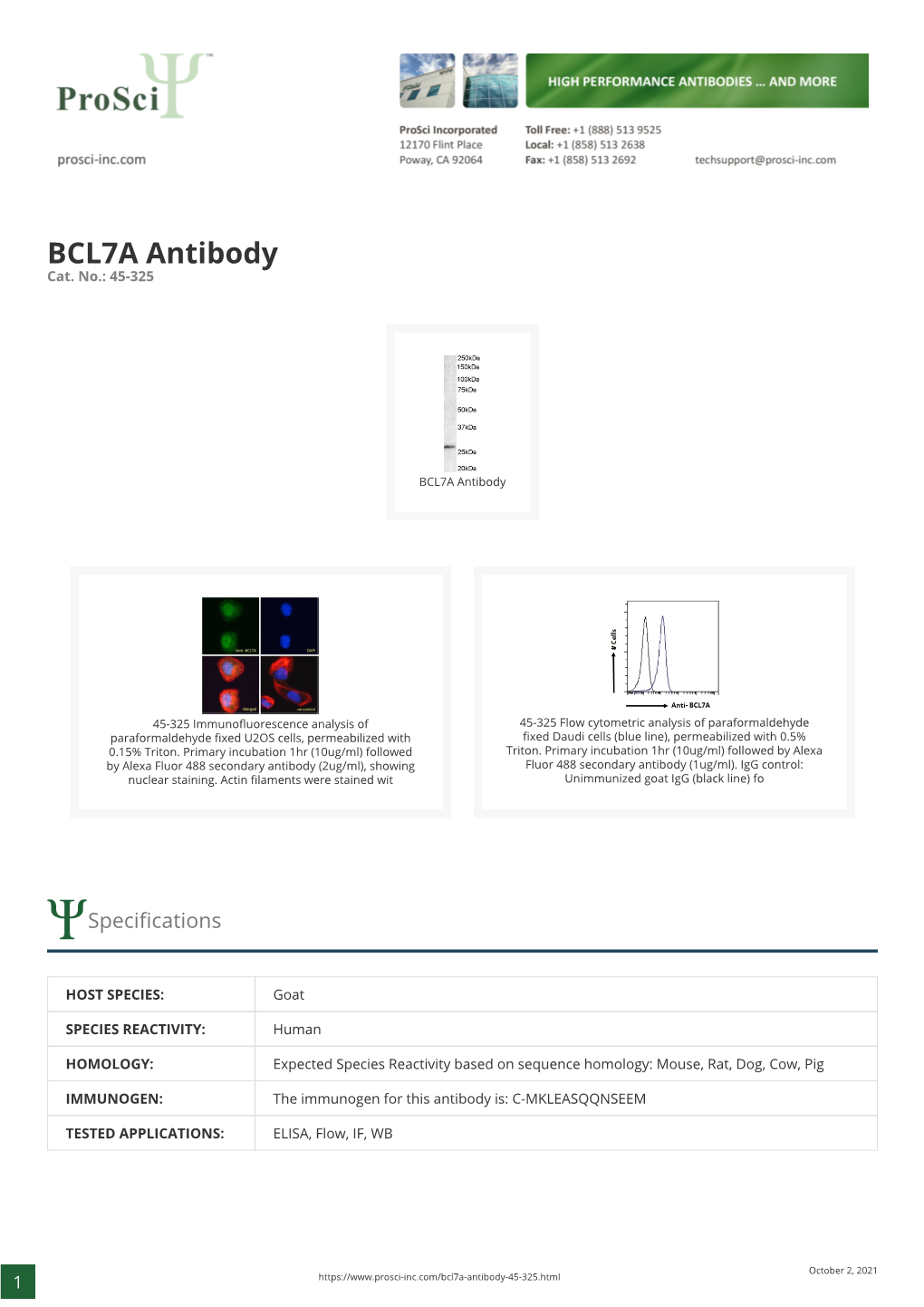 BCL7A Antibody Cat