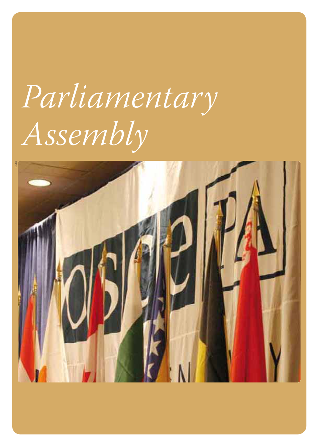 Parliamentary Assembly