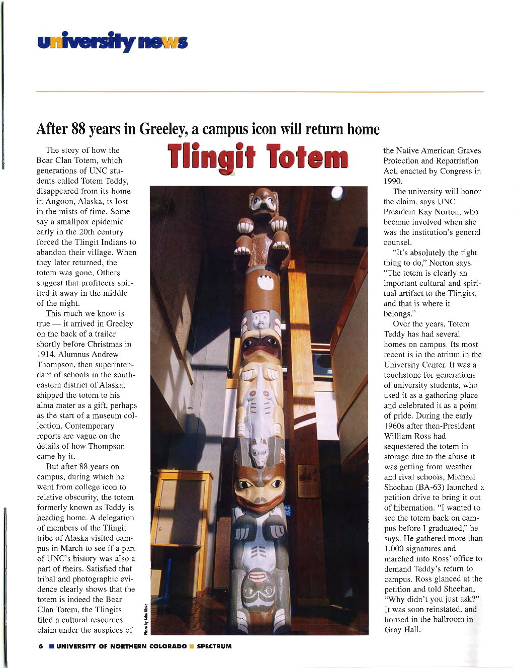 Tlingit Tote