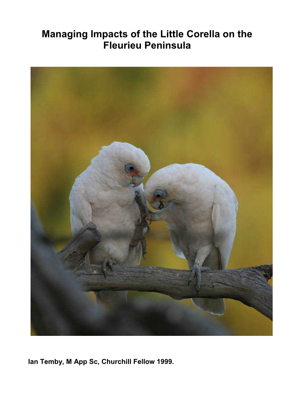 Managing Impacts of Corellas Ian Temby Report