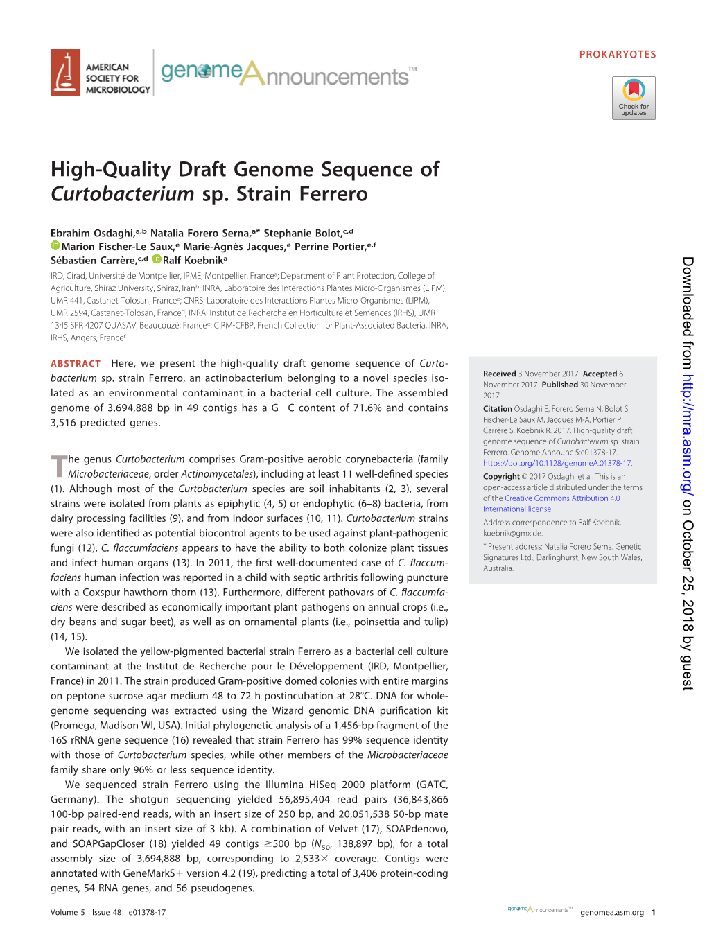 High-Quality Draft Genome Sequence of Curtobacterium Sp. Strain Ferrero