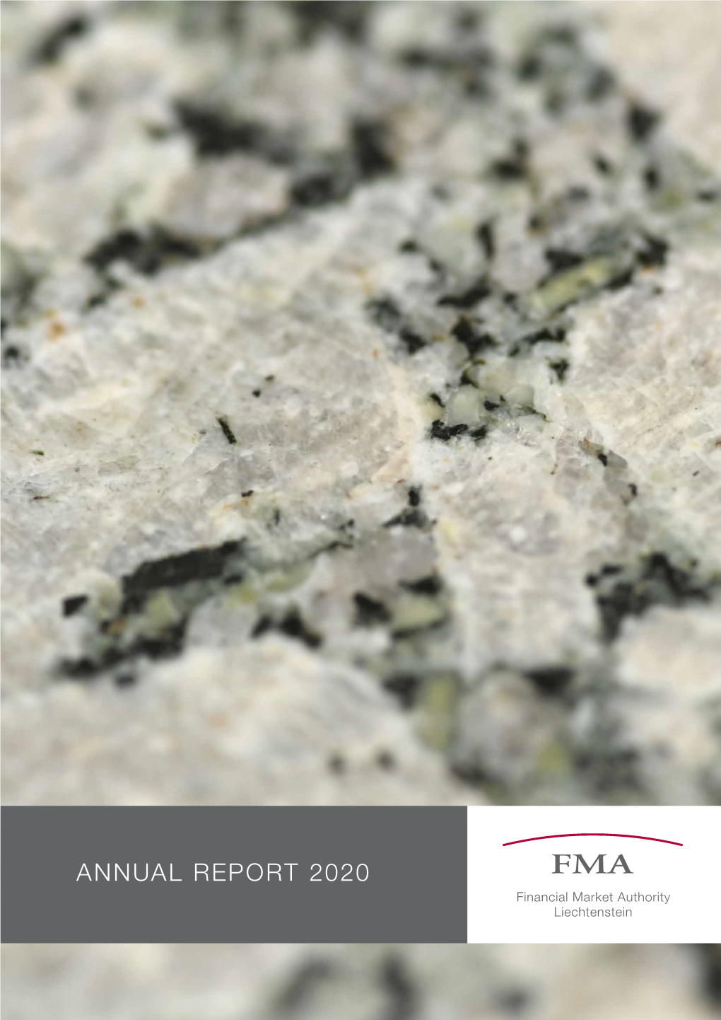 Fma-Annual-Report-2020.Pdf