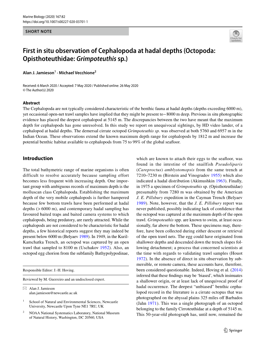 First in Situ Observation of Cephalopoda at Hadal Depths (Octopoda: Opisthoteuthidae: Grimpoteuthis Sp.)