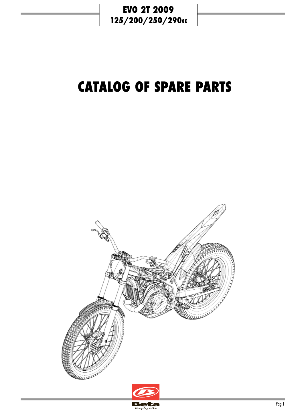 2009 Beta Evo 2-Stroke Parts Catalog