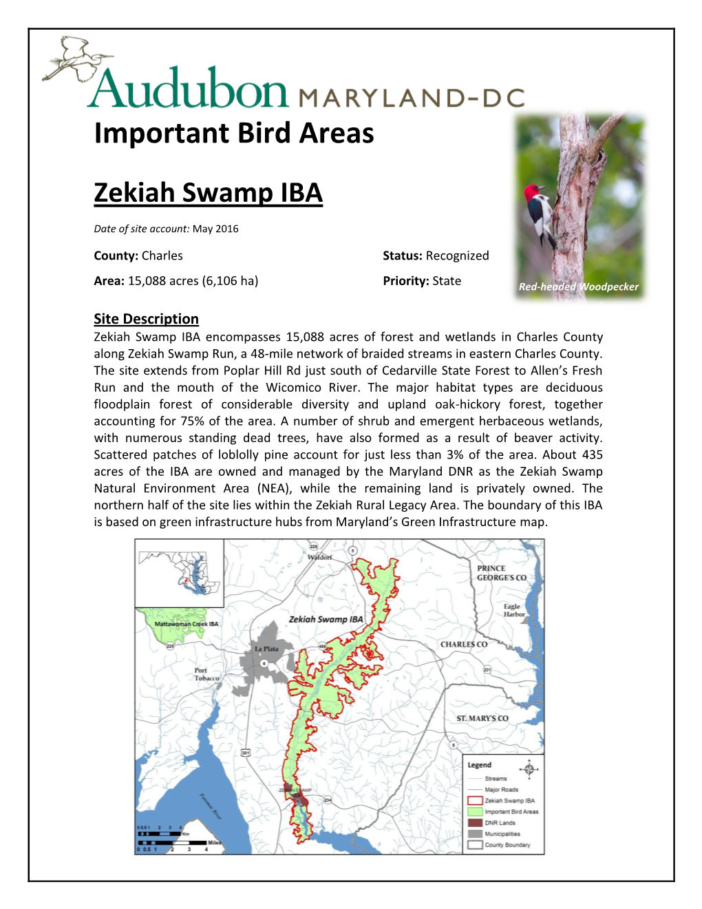 Zekiah Swamp IBA Date of Site Account: May 2016