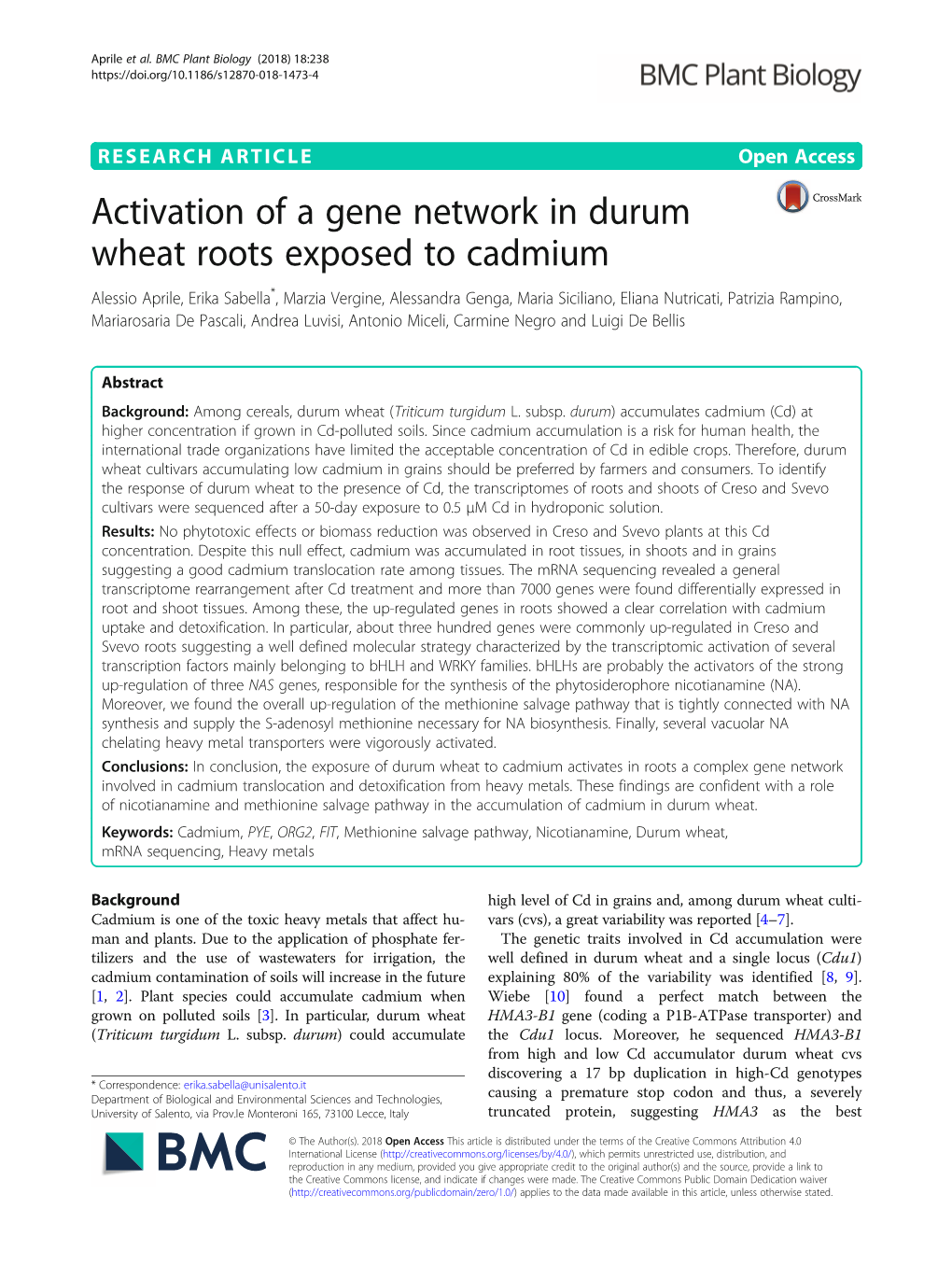 Activation of a Gene Network in Durum Wheat Roots Exposed to Cadmium