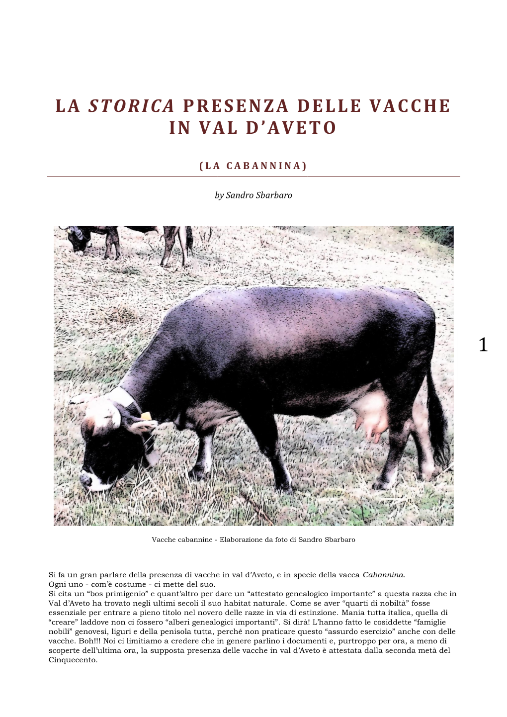 La Storica Presenza Delle Vacche in Val D'aveto