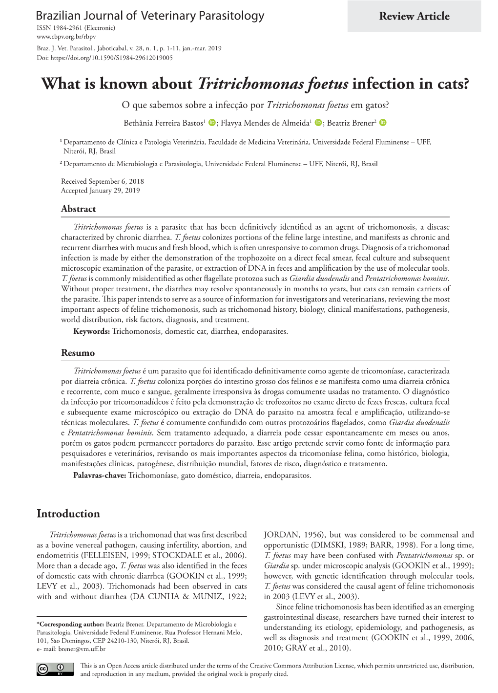 What Is Known About Tritrichomonas Foetus Infection in Cats?