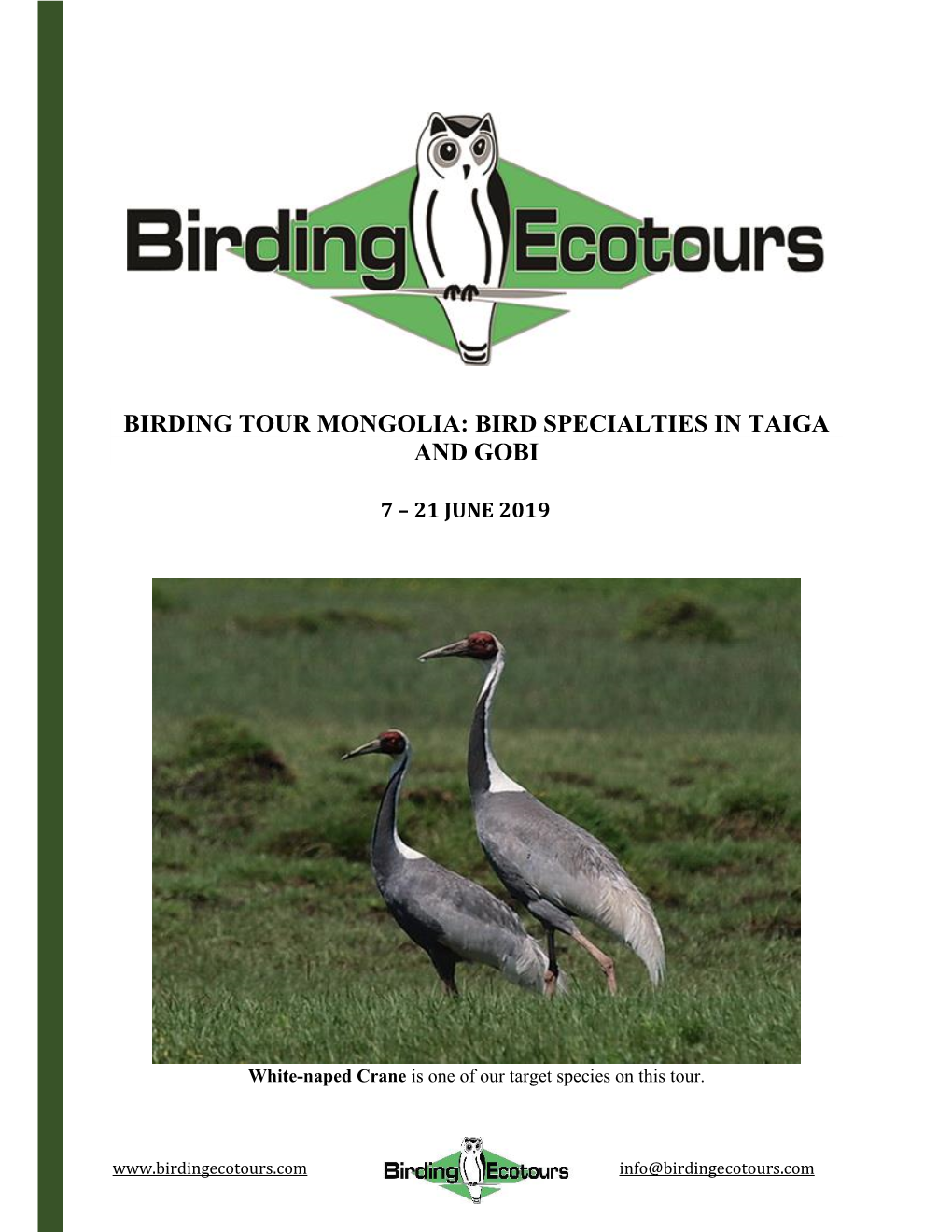 Birding Tour Mongolia: Bird Specialties in Taiga and Gobi