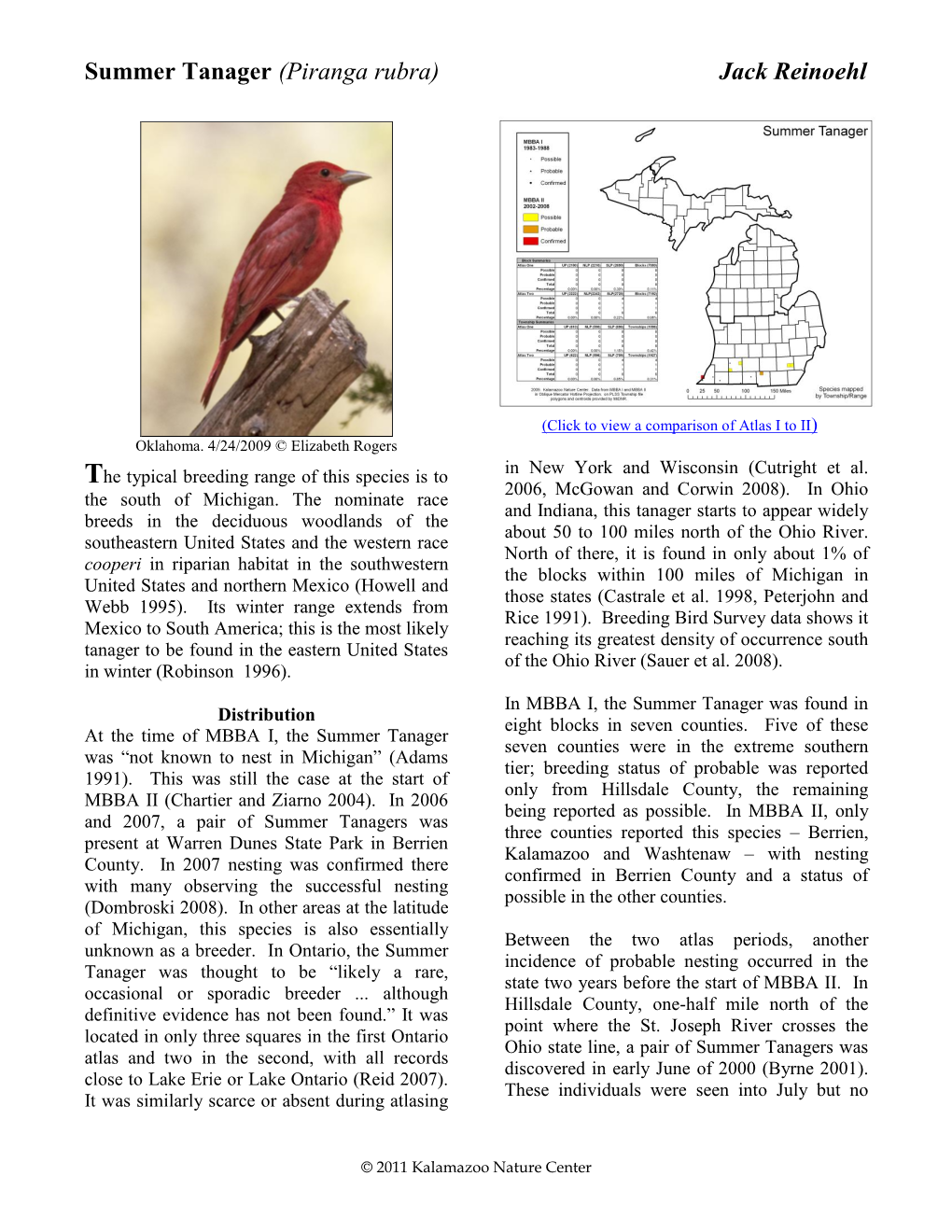 Summer Tanager (Piranga Rubra) Jack Reinoehl