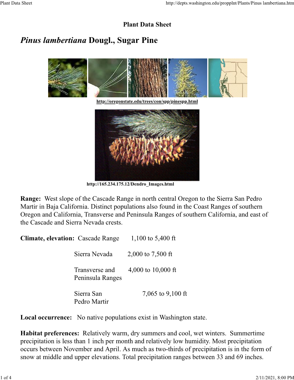 Plant Data Sheet Lambertiana.Htm