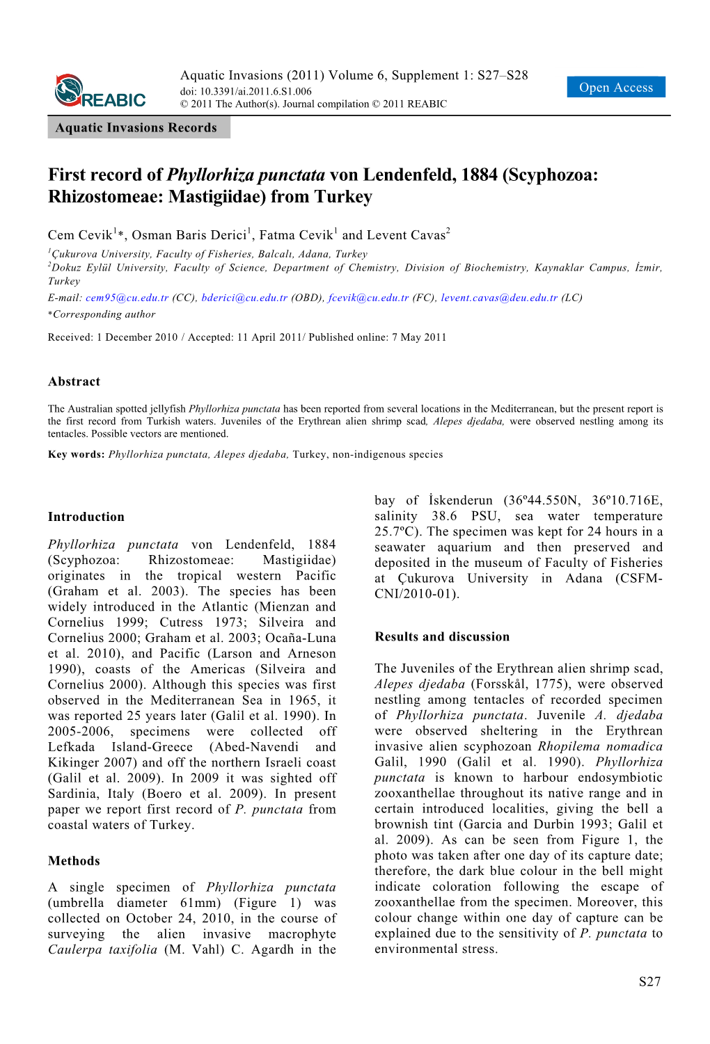 Scyphozoa: Rhizostomeae: Mastigiidae) from Turkey