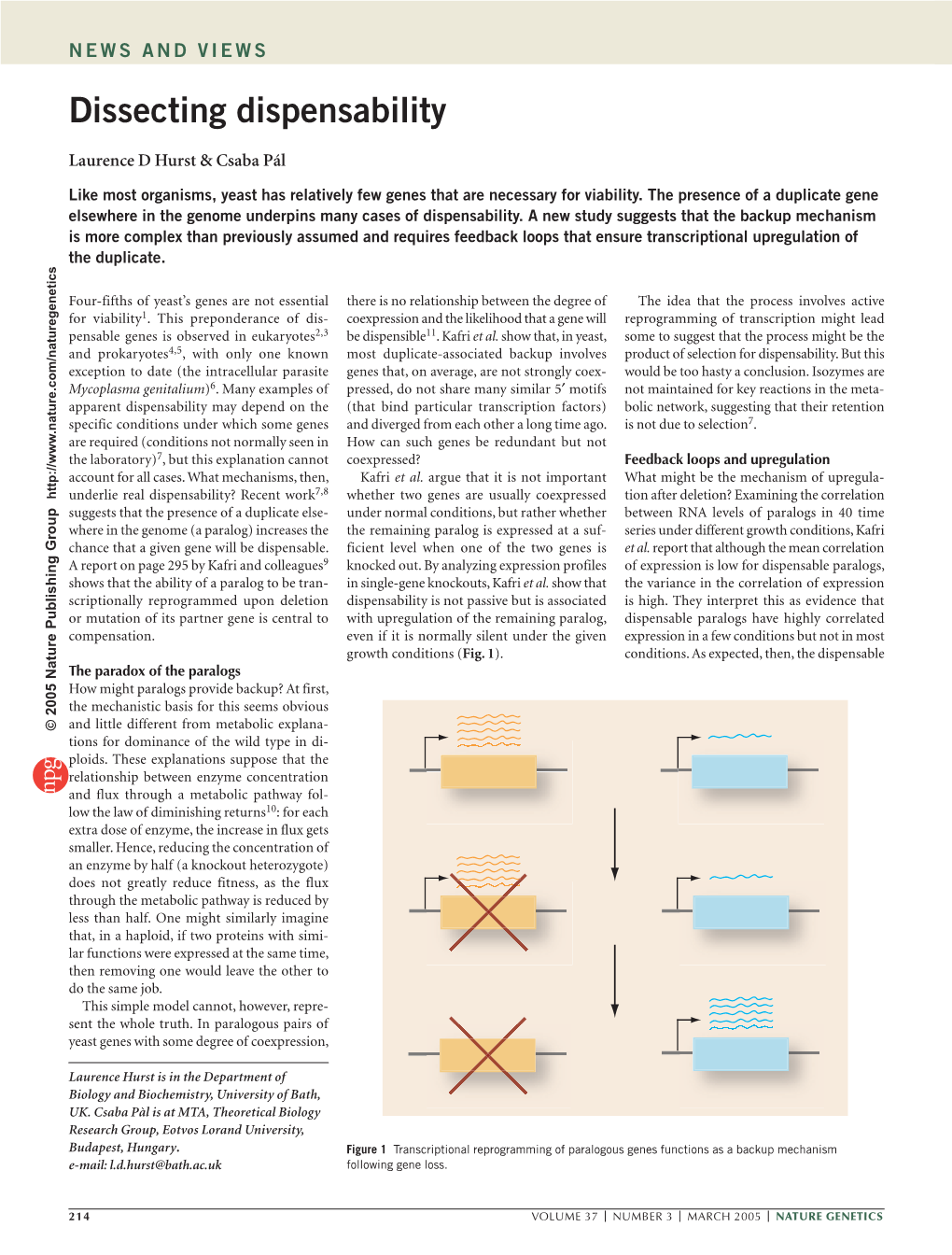 Dissecting Dispensability