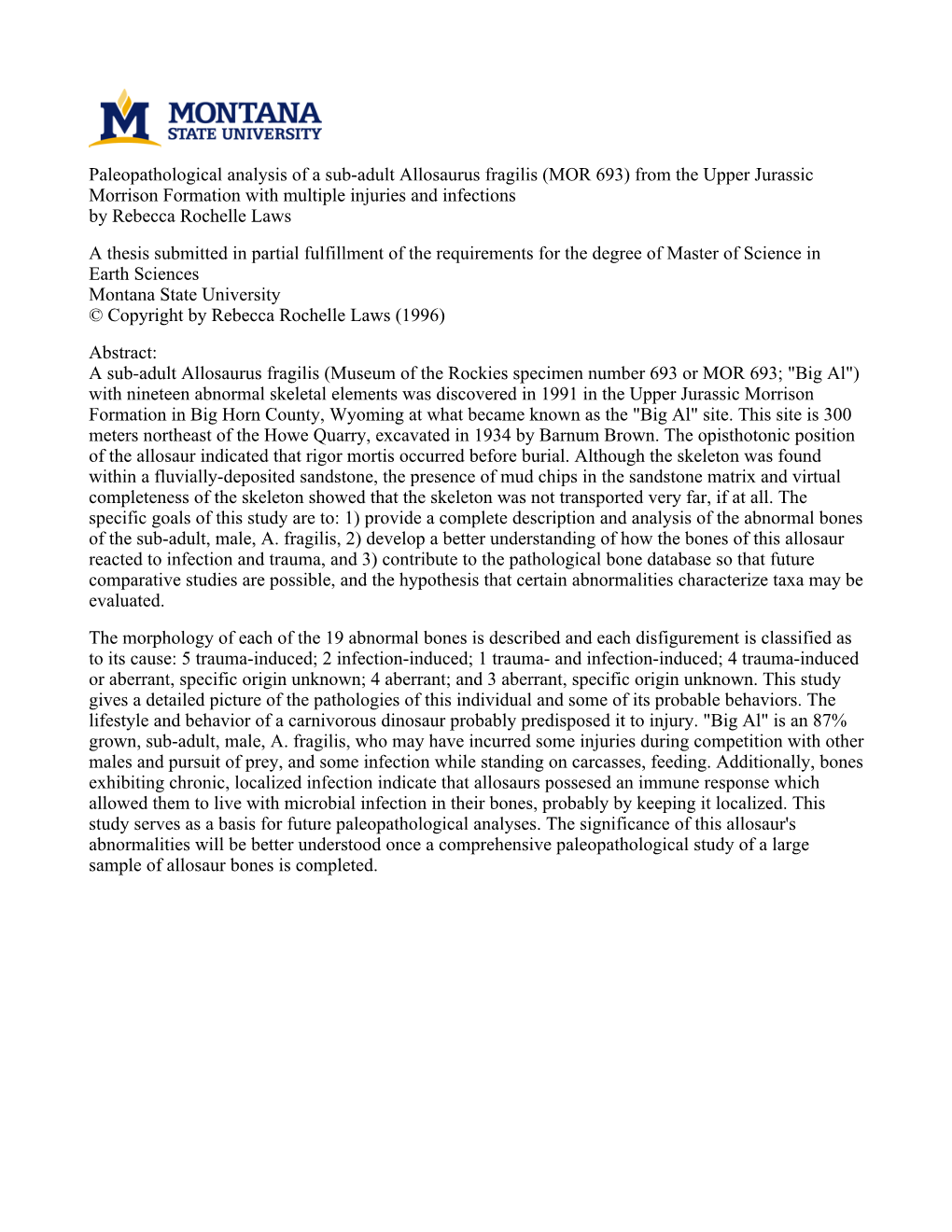 Paleopathological Analysis of a Sub-Adult Allosaurus Fragilis (MOR