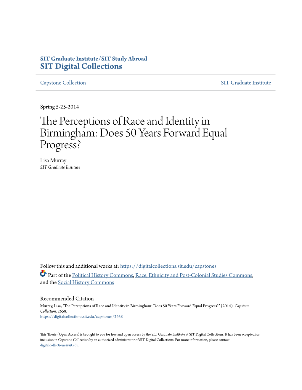 The Perceptions of Race and Identity in Birmingham