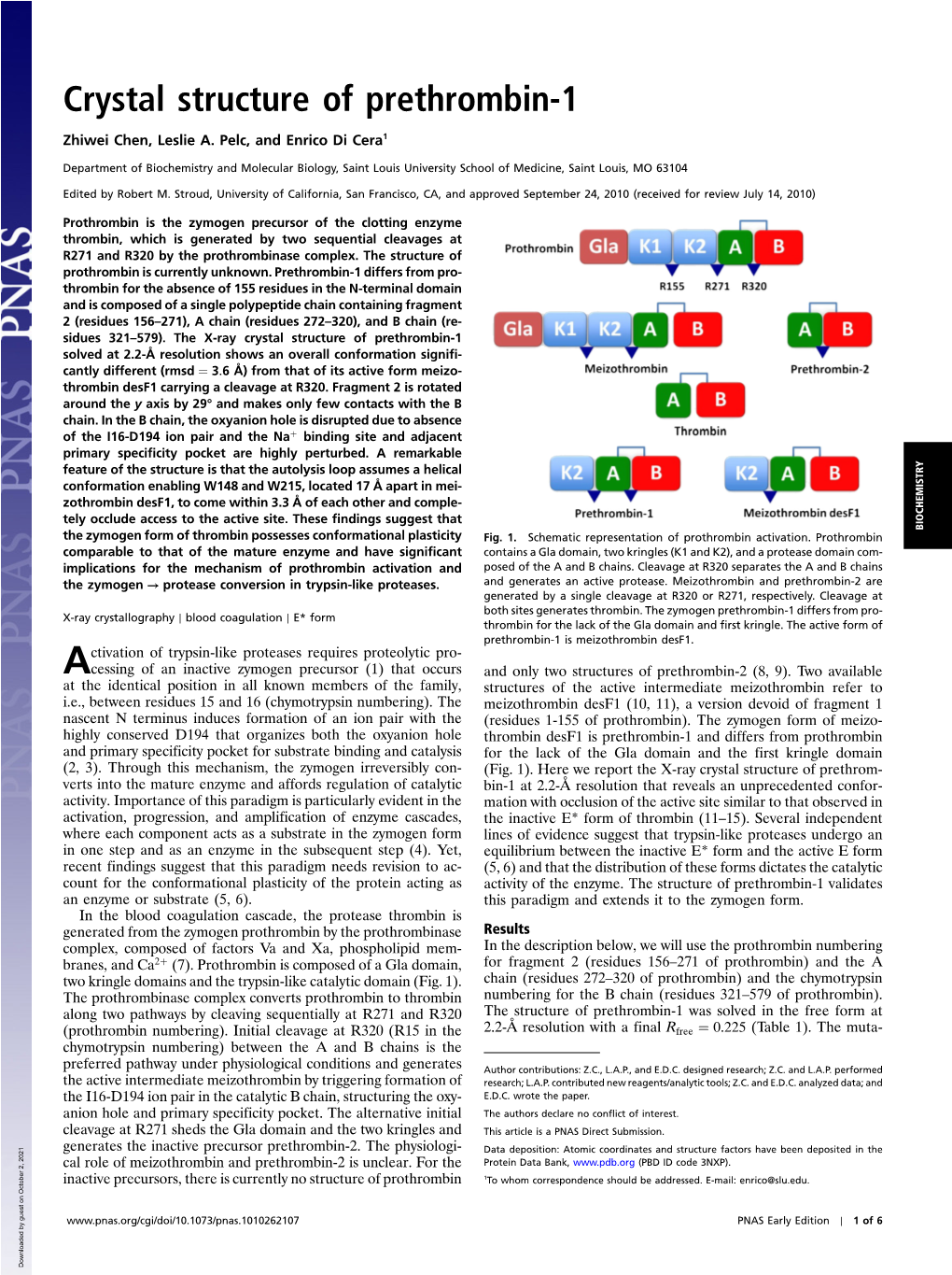 Crystal Structure of Prethrombin-1