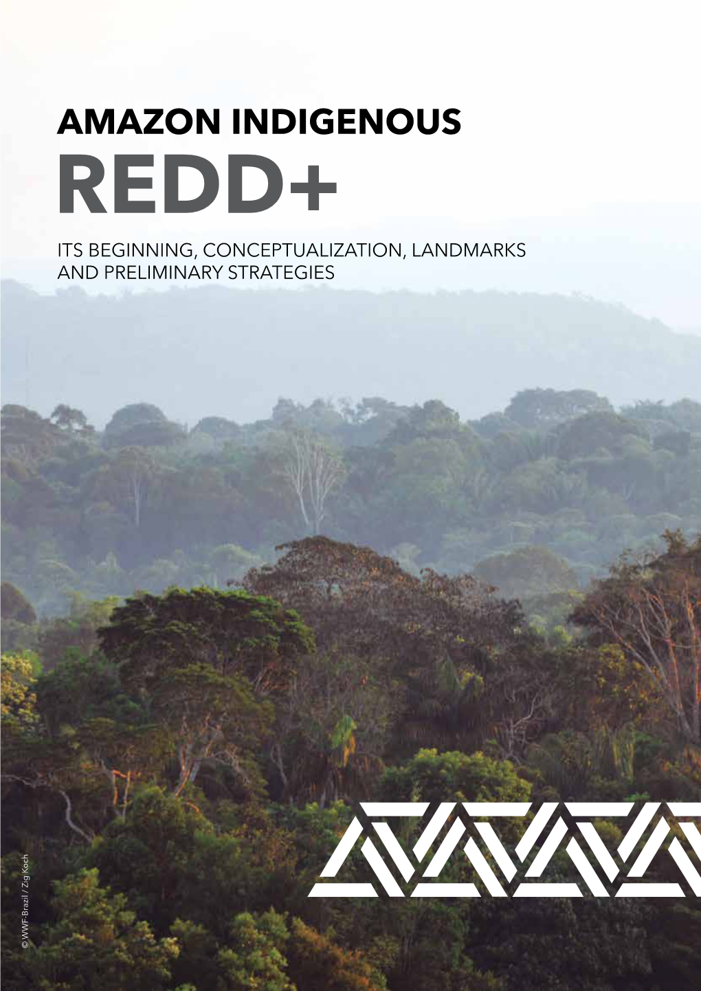 Amazon Indigenous Redd+