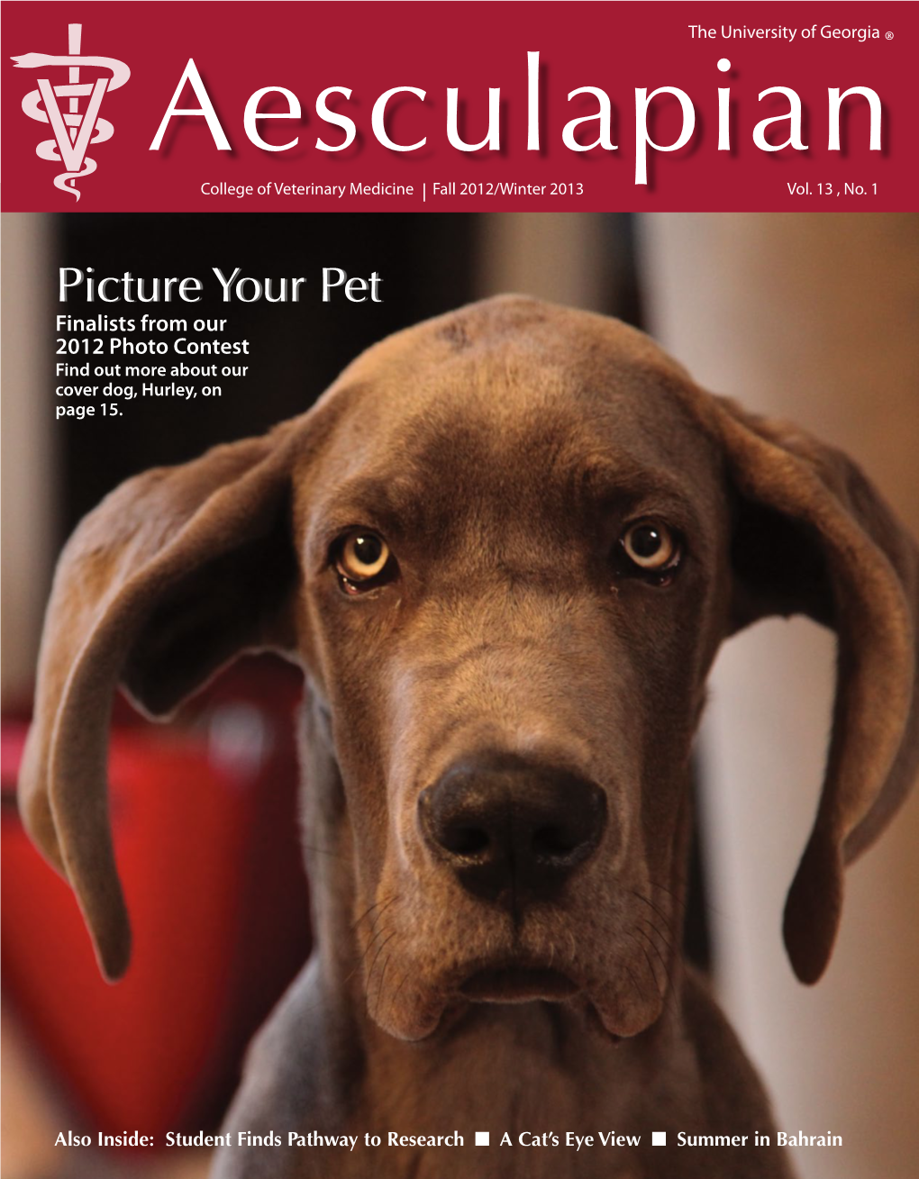 Picture Your Pet Finalists from Our 2012 Photo Contest Find out More About Our Cover Dog, Hurley, on Page 15