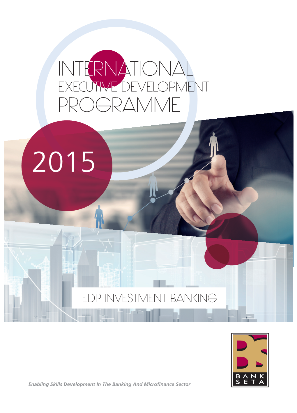 International Executive Development Programme