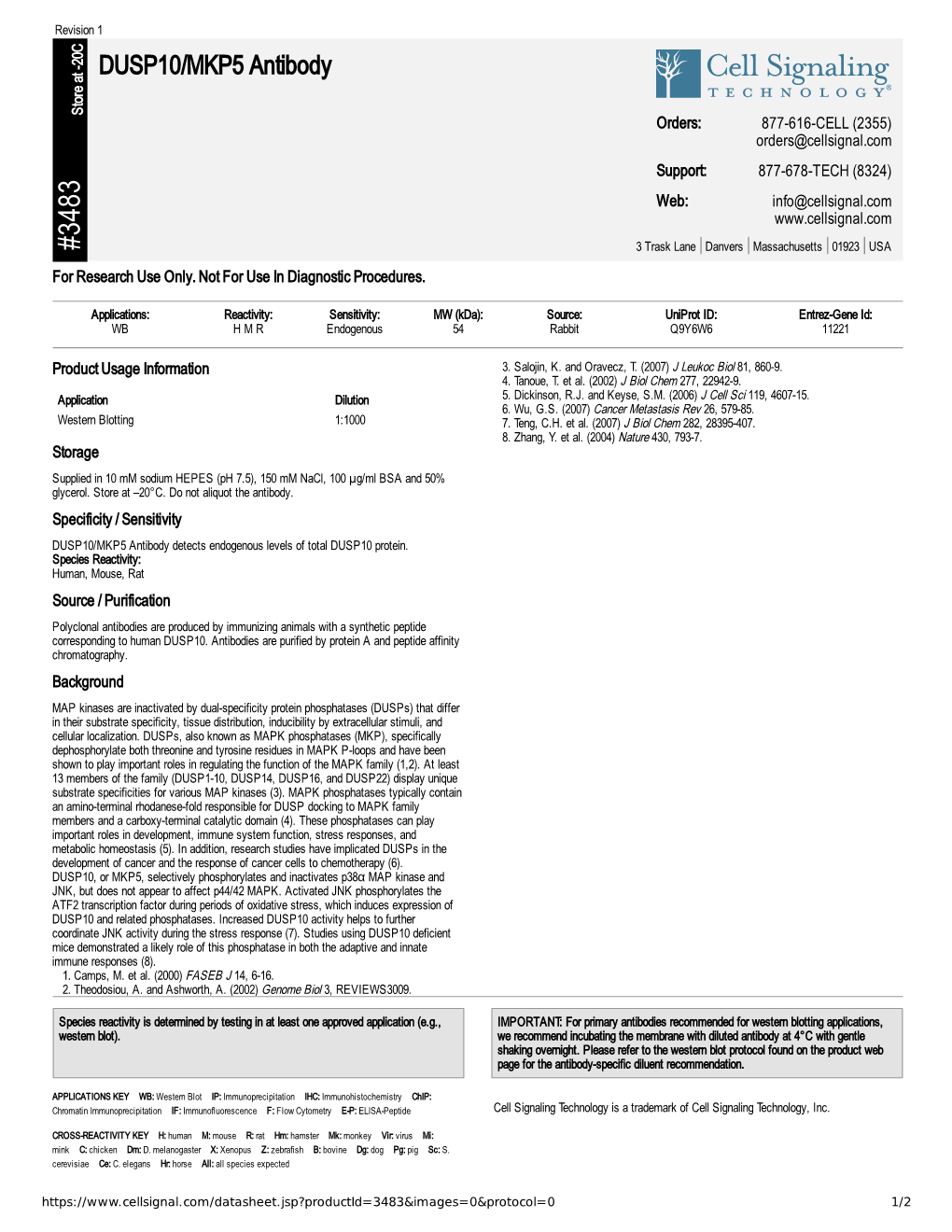 DUSP10/MKP5 Antibody A