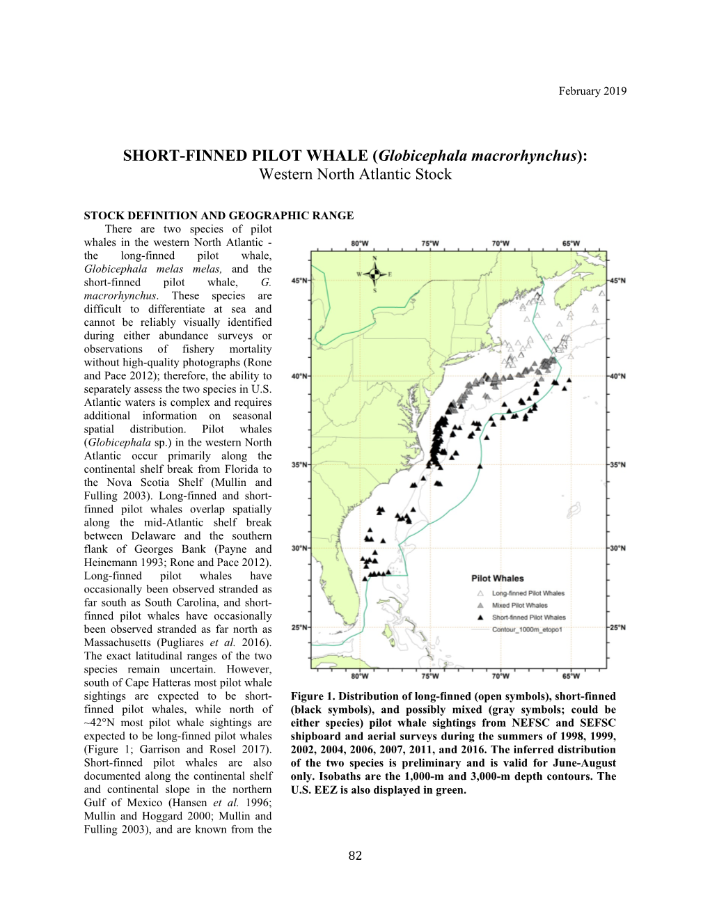 SHORT-FINNED PILOT WHALE (Globicephala Macrorhynchus): Western North Atlantic Stock