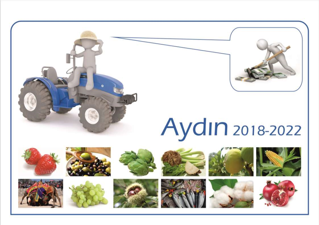 2018-2022 Aydın Tarım Vizyonu.Pdf