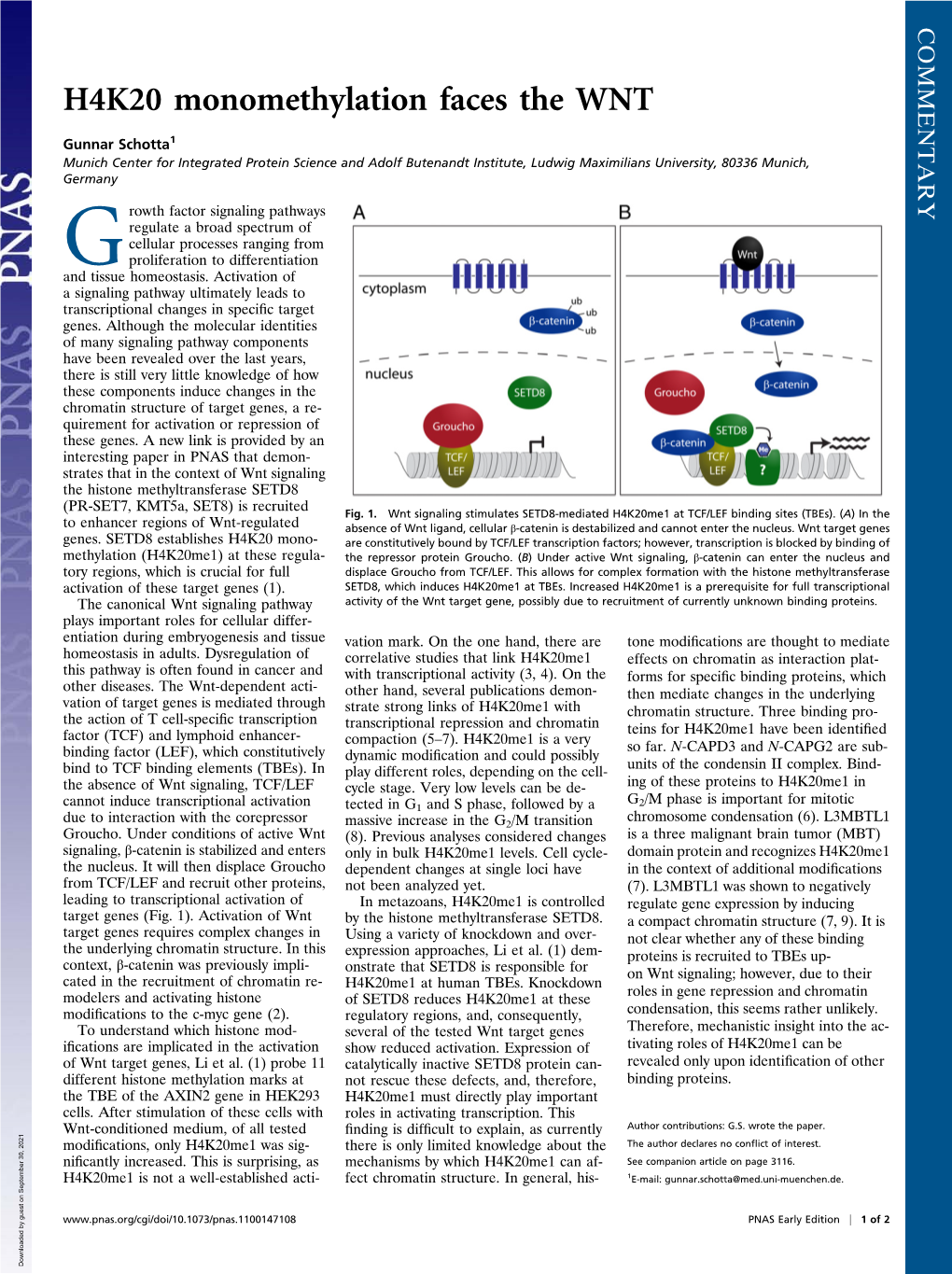 H4K20 Monomethylation Faces the WNT