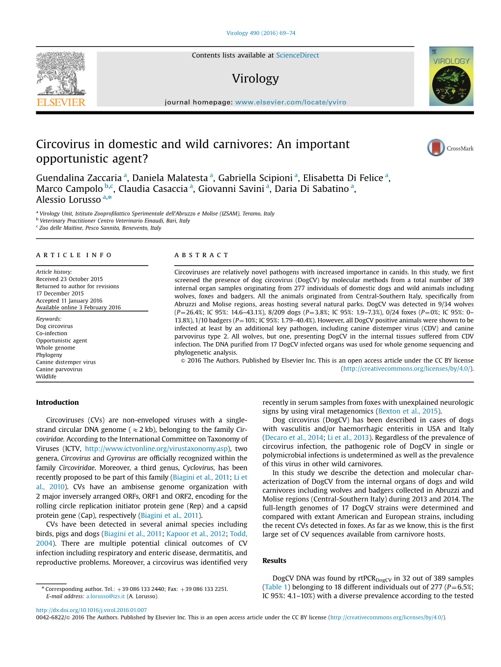 Circovirus in Domestic and Wild Carnivores an Important