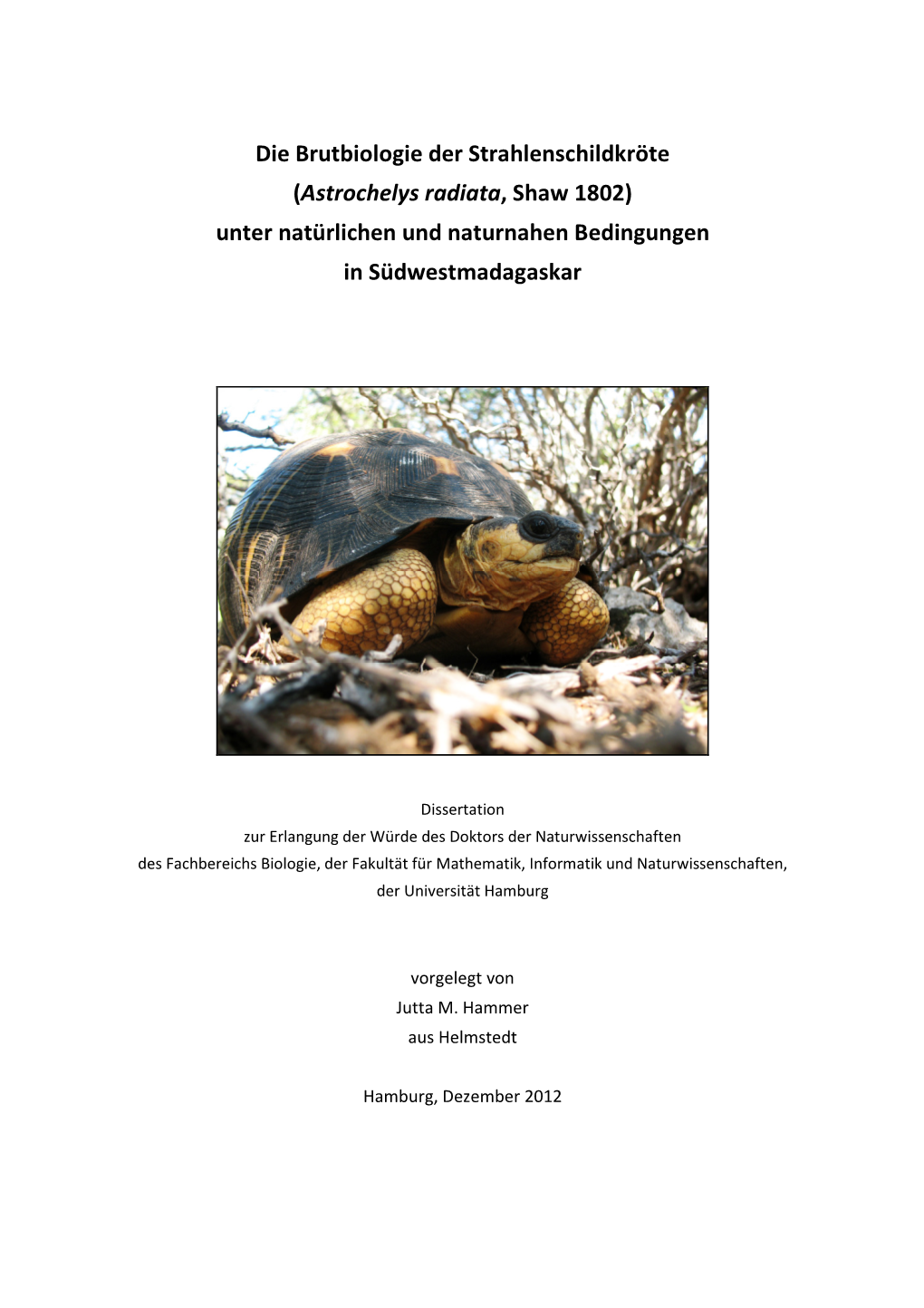 Die Brutbiologie Der Strahlenschildkröte (Astrochelys Radiata , Shaw 1802) Unter Natürlichen Und Naturnahen Bedingungen in Südwestmadagaskar