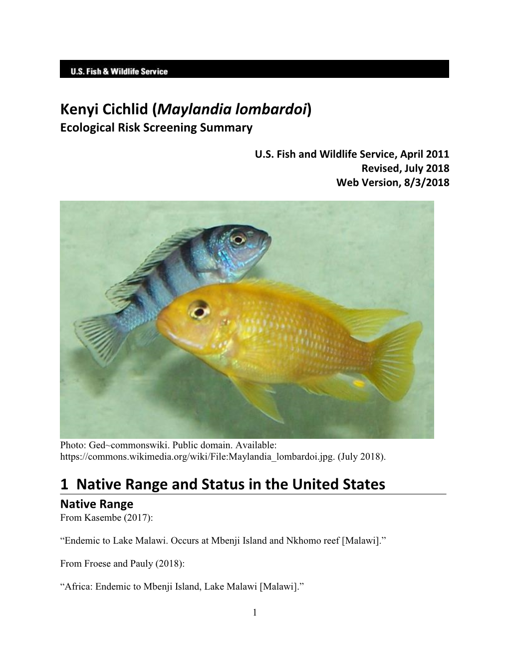 Kenyi Cichlid (Maylandia Lombardoi) Ecological Risk Screening Summary