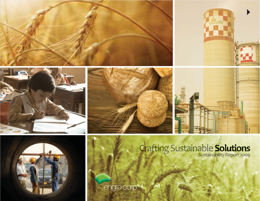 Engro Sustainability Report 2009