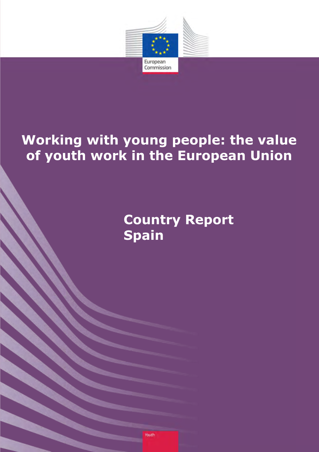 The Value of Youth Work in the European Union Country Report