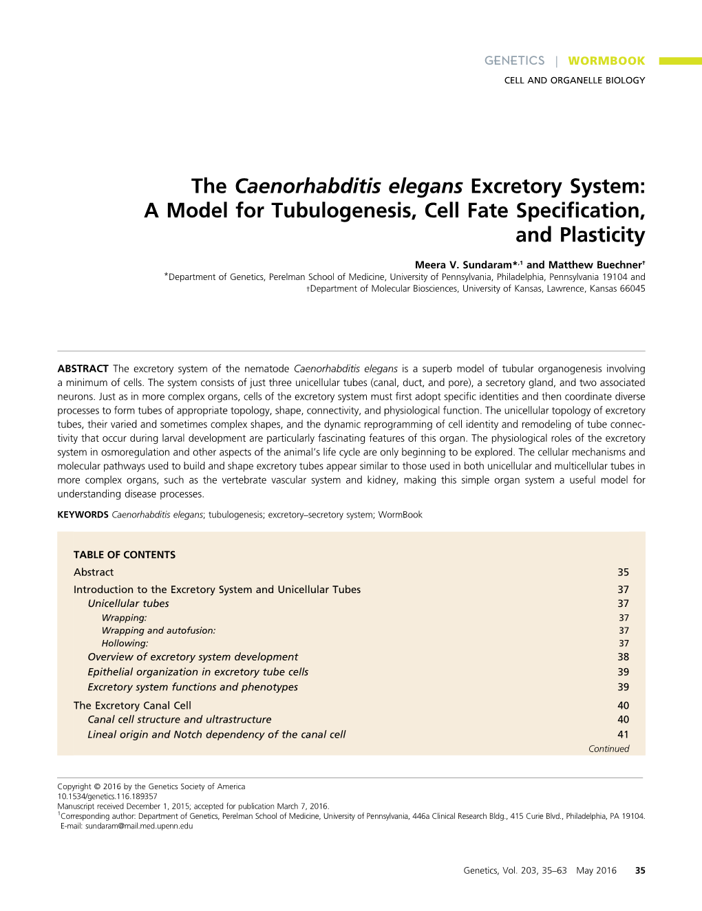 The Caenorhabditis Elegans Excretory System: a Model for Tubulogenesis, Cell Fate Speciﬁcation, and Plasticity