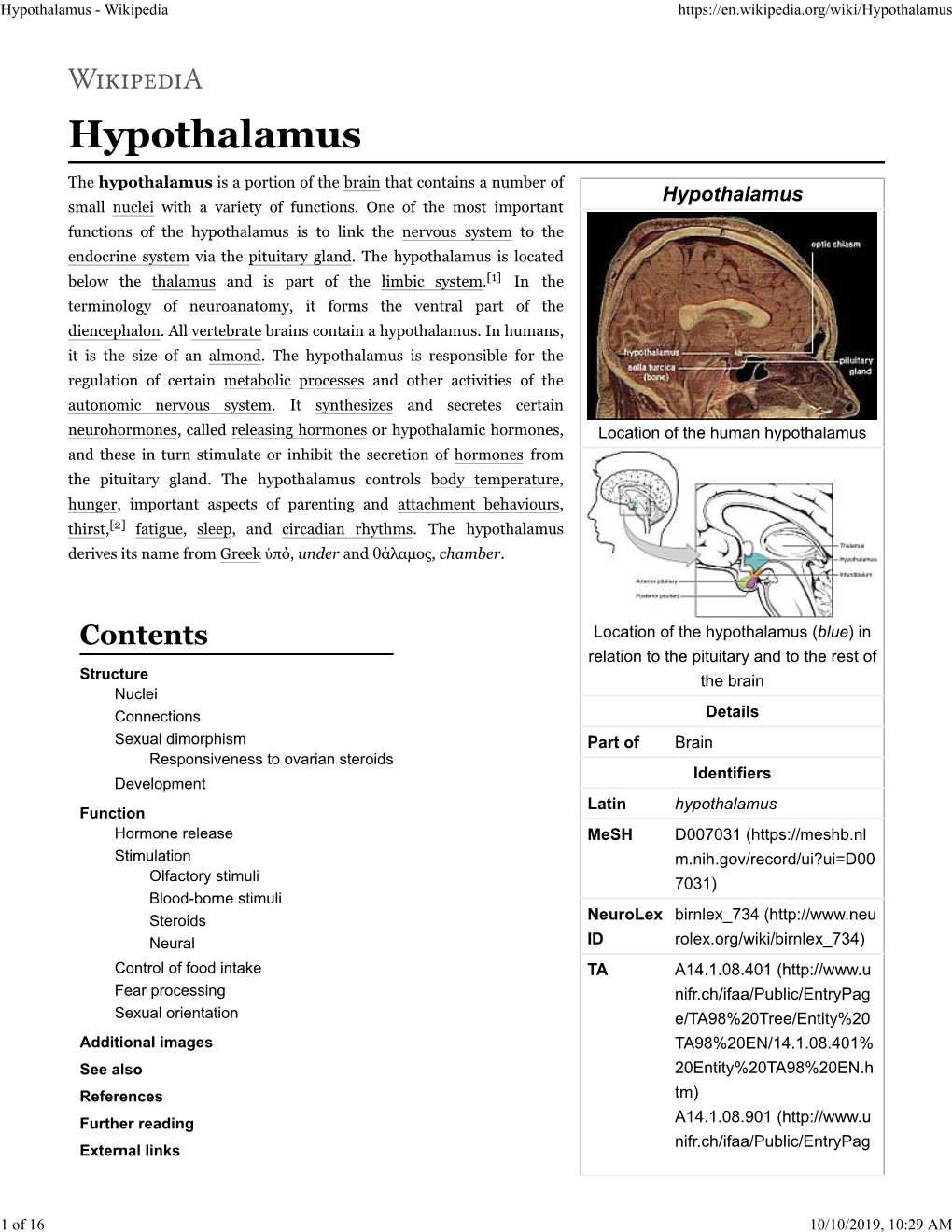 Hypothalamus - Wikipedia