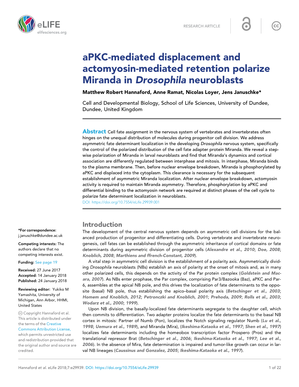 Apkc-Mediated Displacement and Actomyosin-Mediated Retention