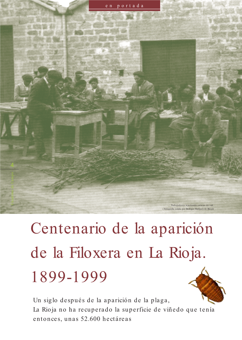 Centenario De La Aparición De La Filoxera En La Rioja